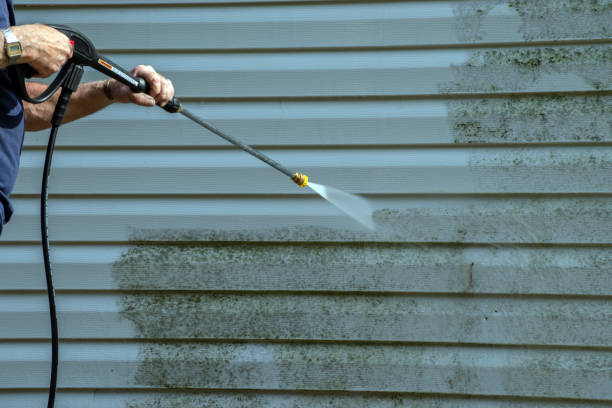 Best Driveway Pressure Washing  in Rankin, PA